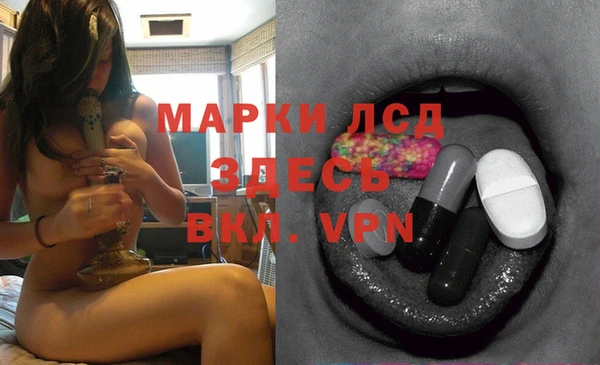 хмурый Абаза
